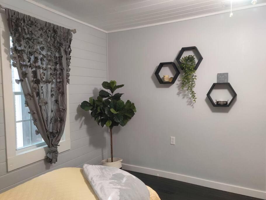 Honeycomb Gem, Beautifully Designed & Near Downtown Τόμασβιλ Εξωτερικό φωτογραφία